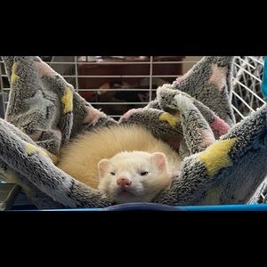 Meet your Posher, Kaitlin